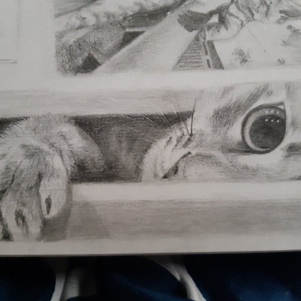 Custom Pet Portraits